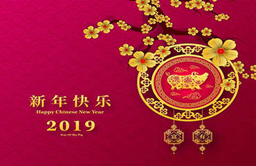 2019 Chinese New Year Holiday Notice